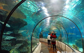 這里是新加坡，您哪些景點(diǎn)值得一去？