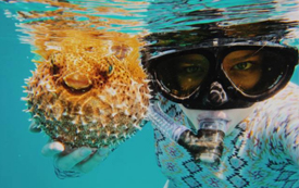 慢生活丨來(lái)圣盧西亞，做個(gè)無(wú)憂(yōu)無(wú)慮的島民