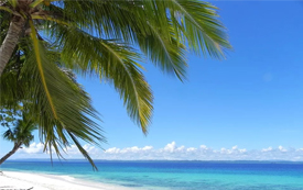 來菲律賓，教育、投資、生活“移”步到位！