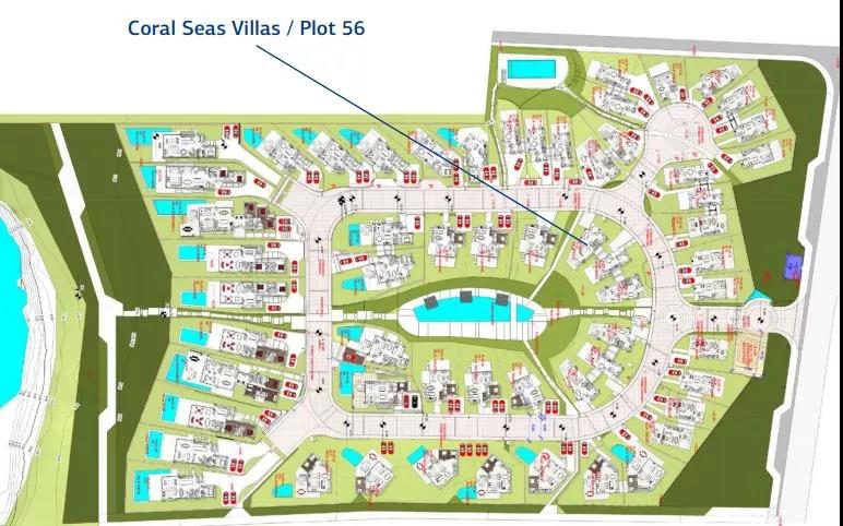 1585227241647154.jpg 9.jpg