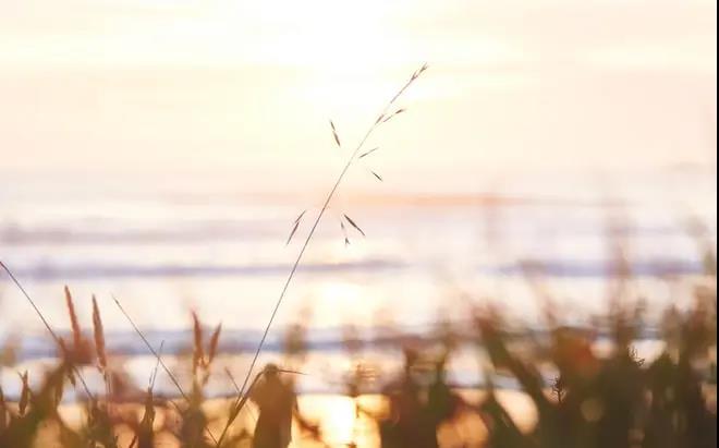 1589508003138024.jpg 5.jpg