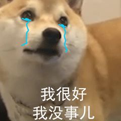 1593653227219806.jpg 1593653227219806.jpg