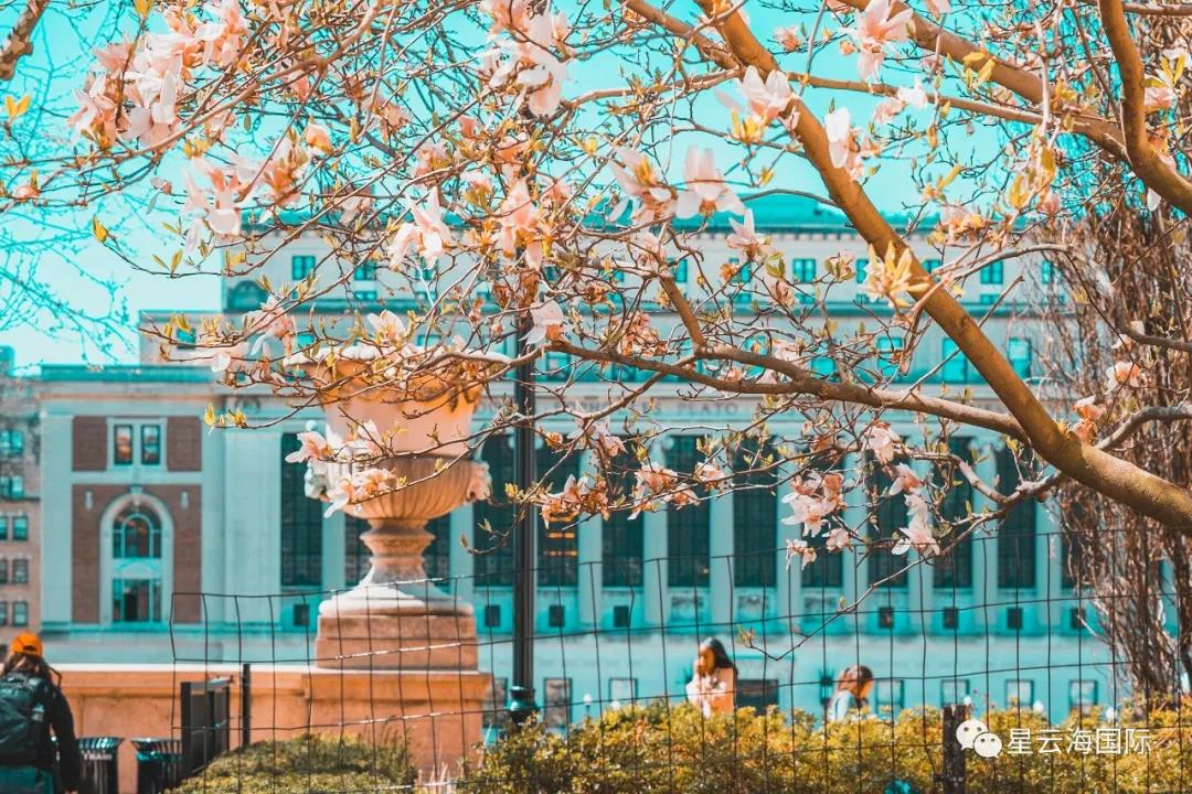 1594085543906421.jpg 1594085543906421.jpg