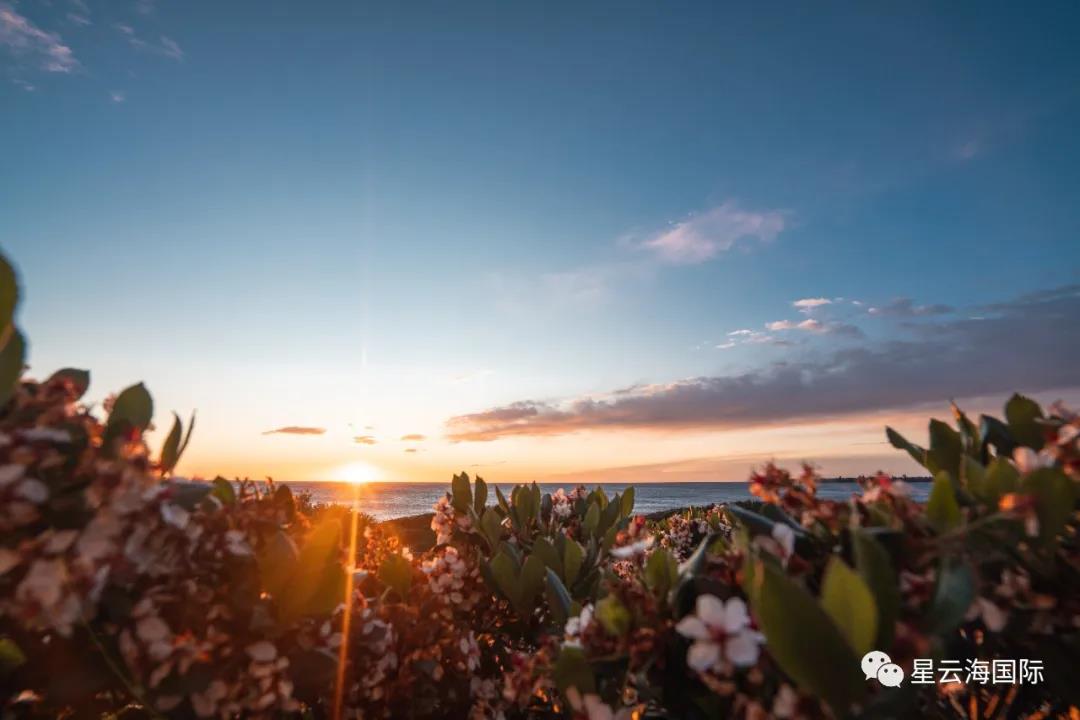 1607925174945752.jpg 微信圖片_20201214134948.jpg