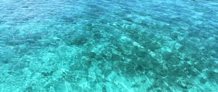 1607925543297865.gif 微信圖片_20201214135048.gif