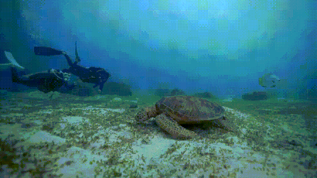 1608602402409103.gif 微信圖片_20201222094329.gif