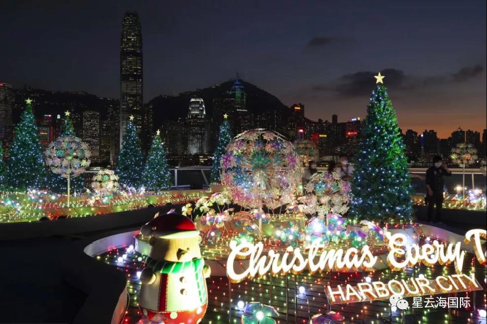 1609136662135666.jpg 6.jpg