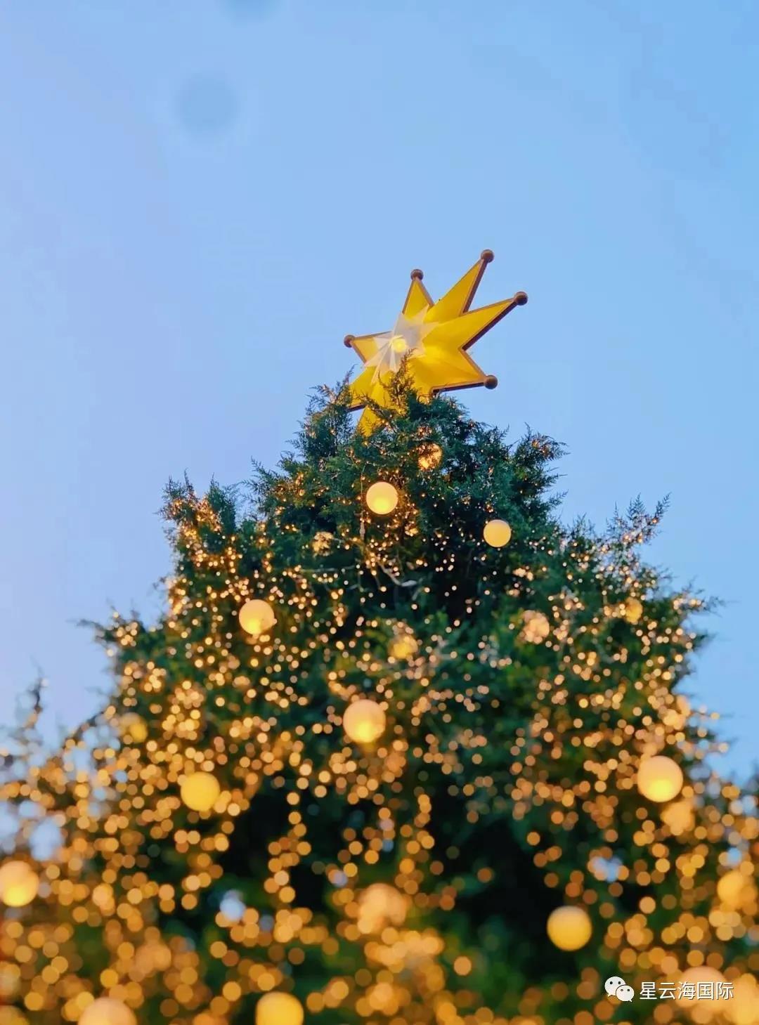 1609136716134013.jpg 11.jpg