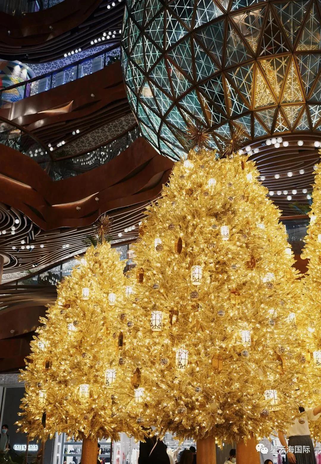 1609136729117132.jpg 12.jpg