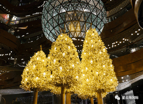 1609136748581789.jpg 14.jpg