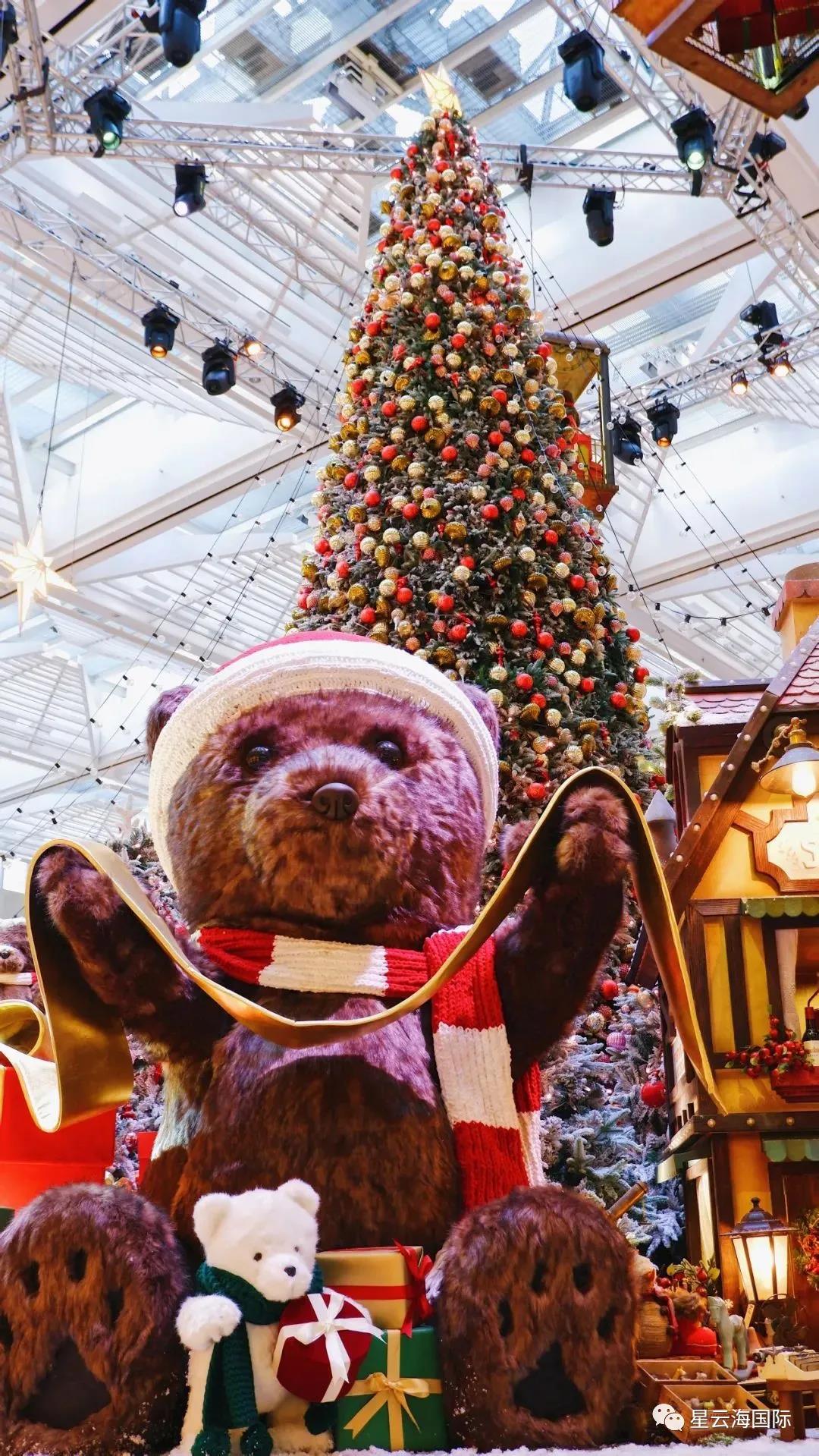 1609136766941105.jpg 16.jpg