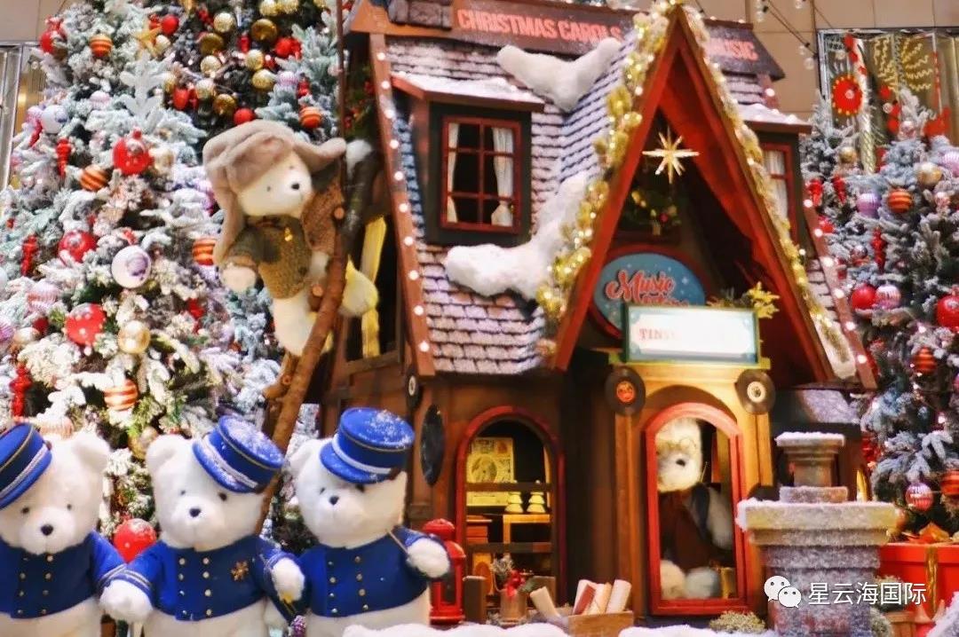 1609136787119800.jpg 18.jpg