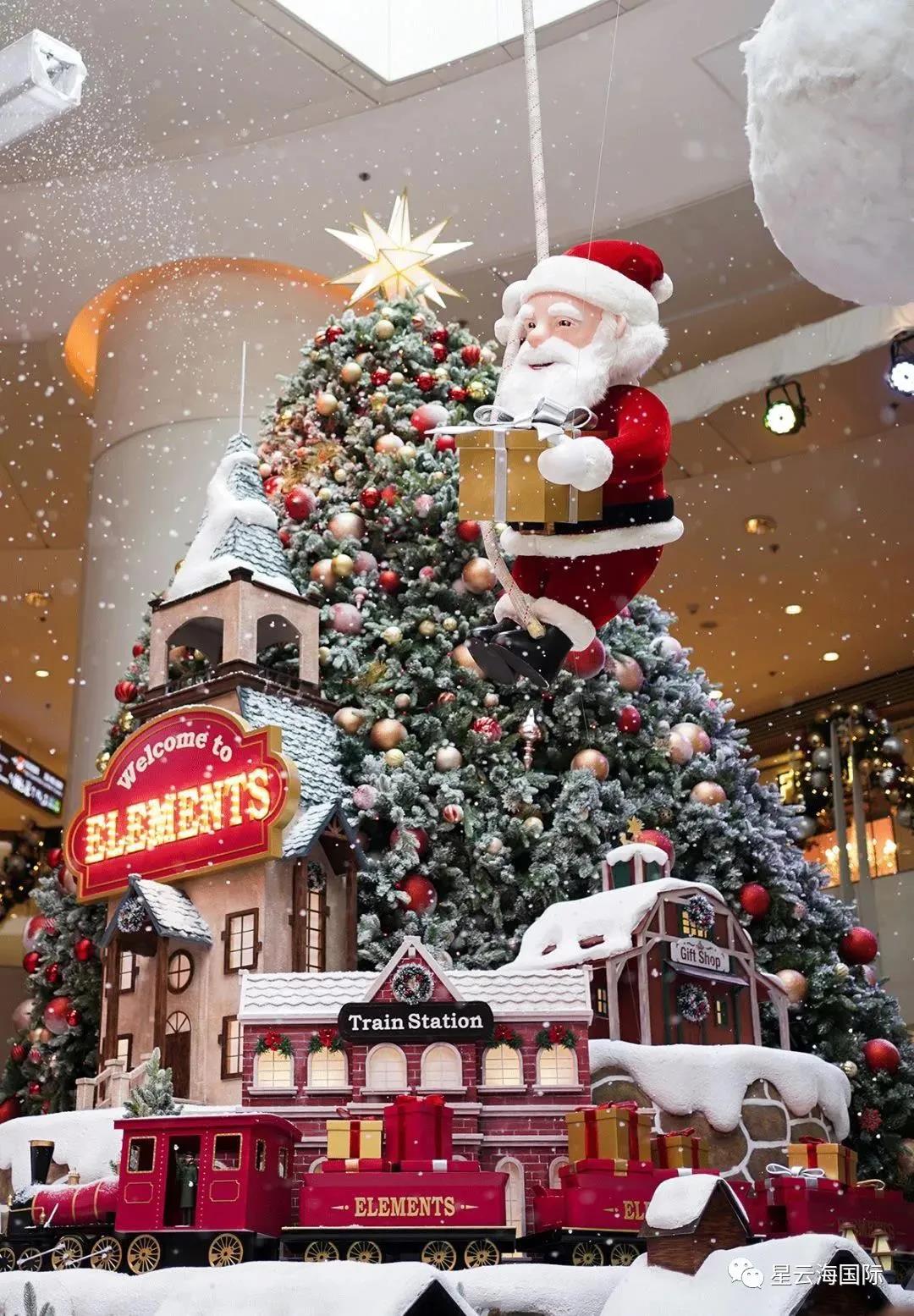 1609136845120183.jpg 24.jpg