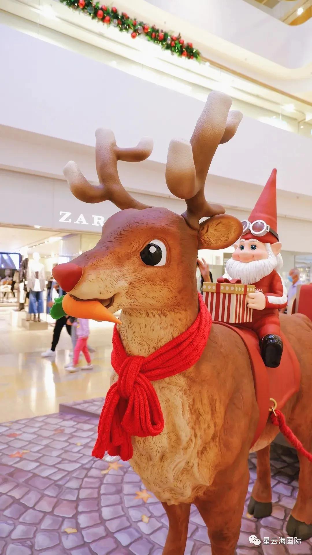 1609136888435567.jpg 28.jpg