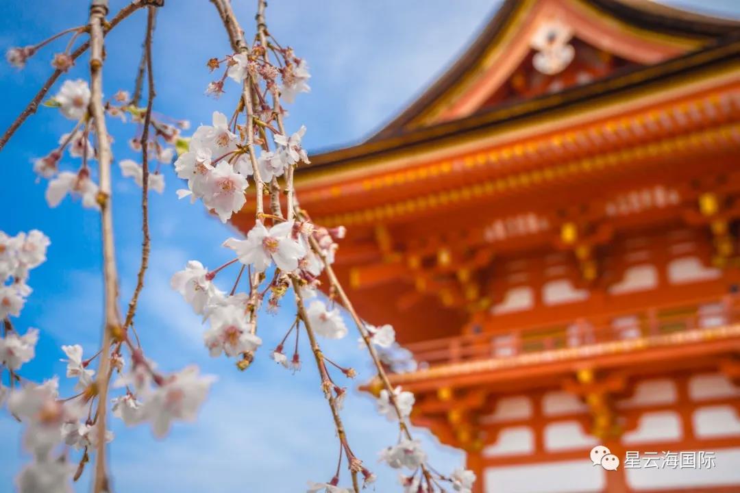 1609297316474640.jpg 微信圖片_20201230104955.jpg