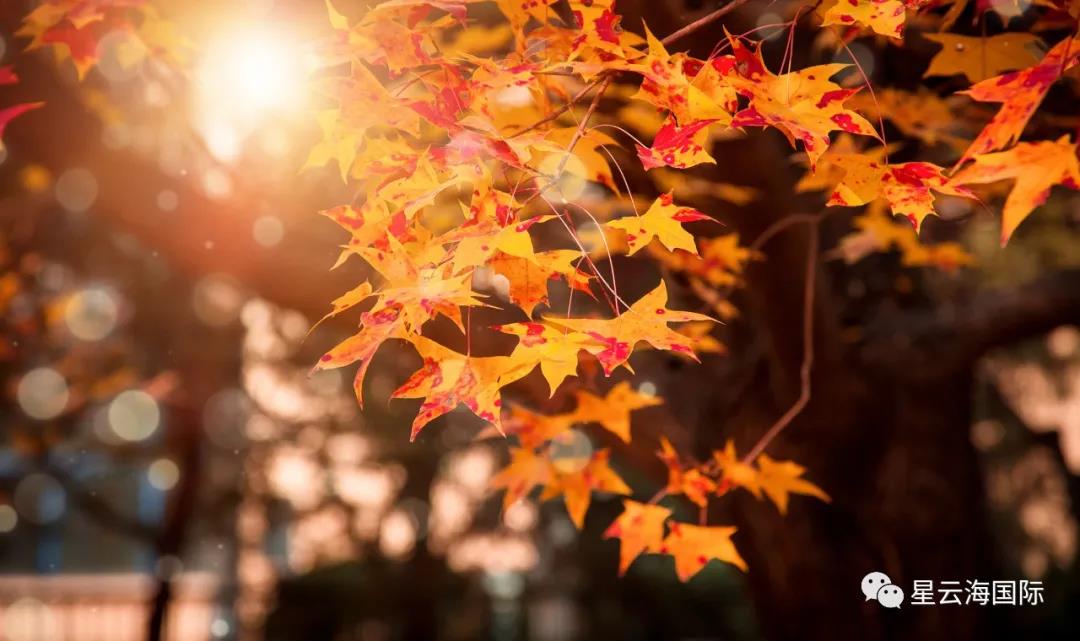 1609985874156205.jpg 微信圖片_20210107101509.jpg