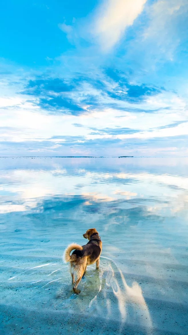 1610335232112971.jpg webp.webp (14).jpg