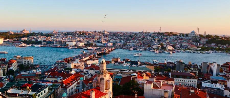 1610335271140081.jpg 土.jpg