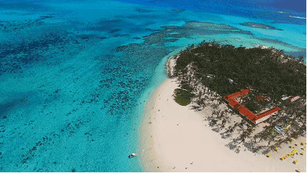 1614741008432469.gif 微信圖片_20210303105631.gif