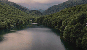 1615169058719491.gif Q.gif