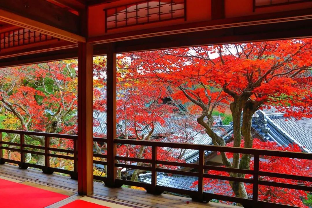 1615170812112312.jpg 微信圖片_20210302160409.jpg