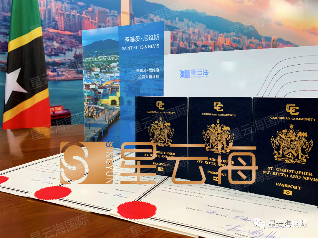 1648880002563440.png 411.png