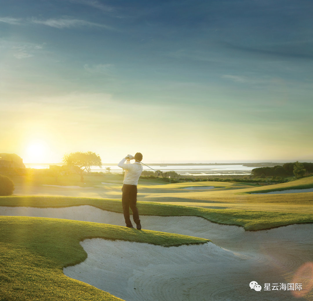 1648880008986102.png 412.png