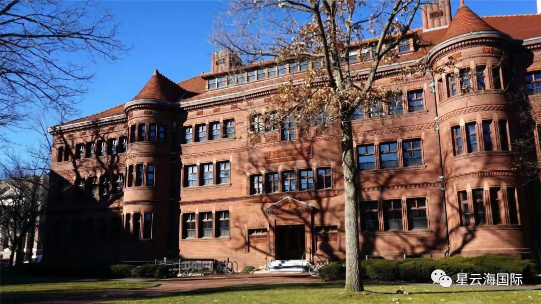 1666947368167281.png 821.png