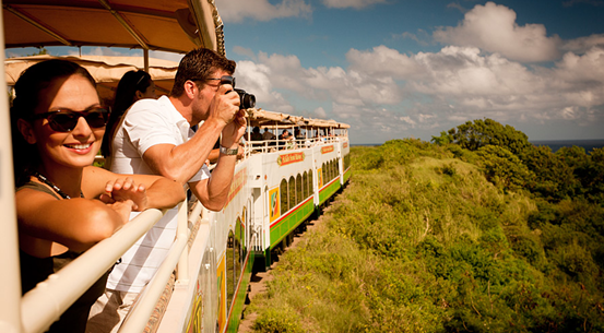 1668160310415036.png 11073.png