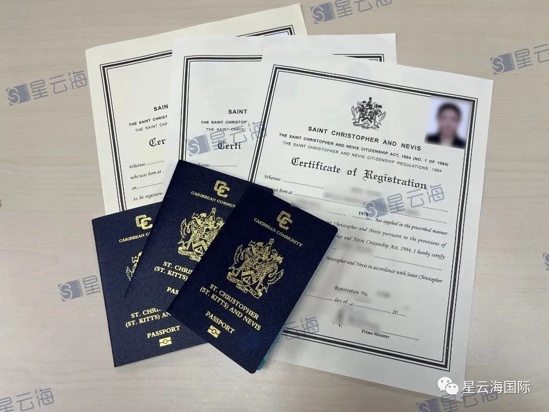 1670837652518325.jpg 874.jpg