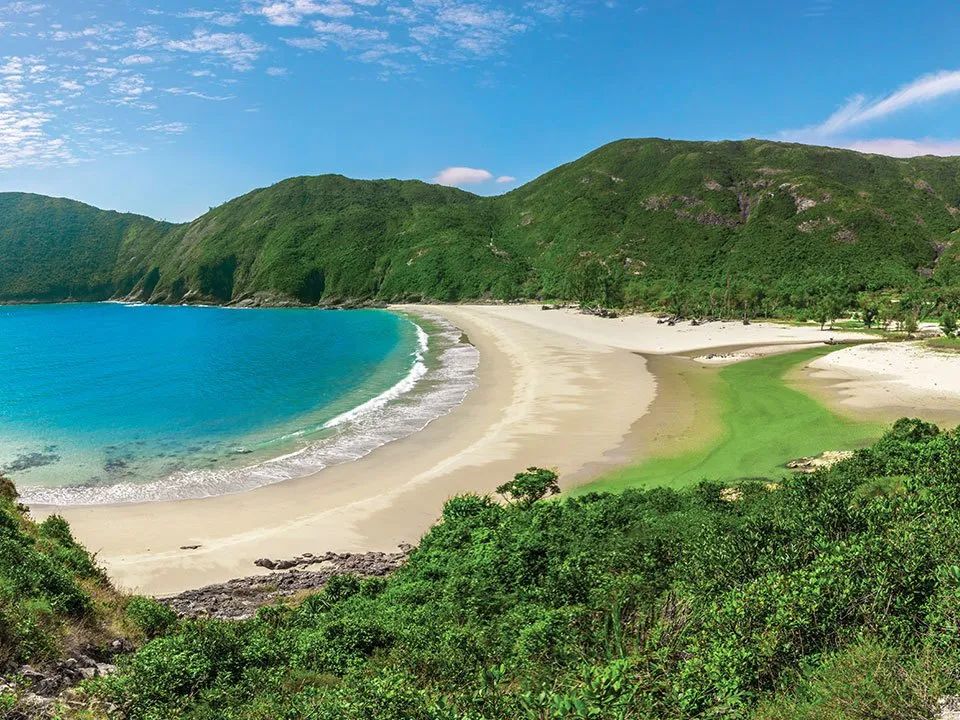 1687685867525970.jpg 276.jpg