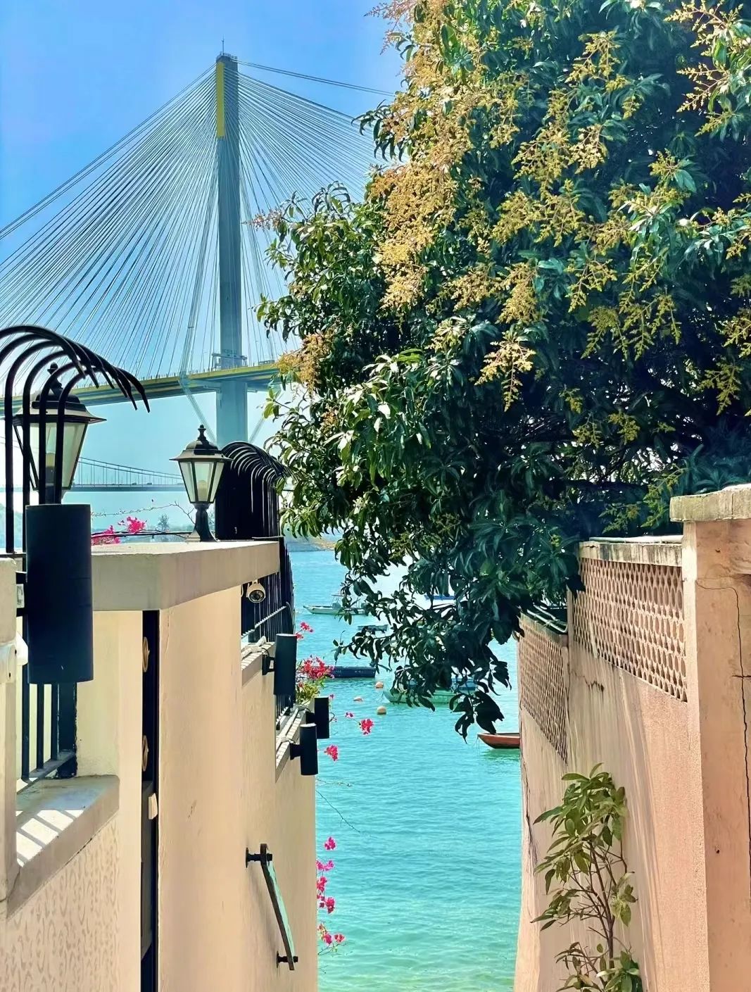 1687685899311904.jpg 278.jpg