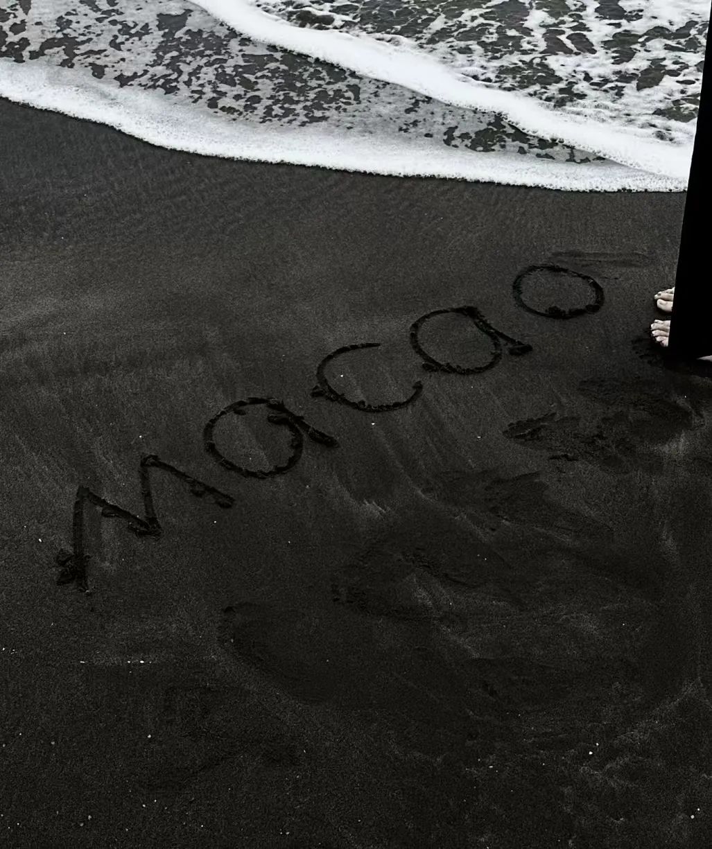 1687685910832523.jpg 279.jpg