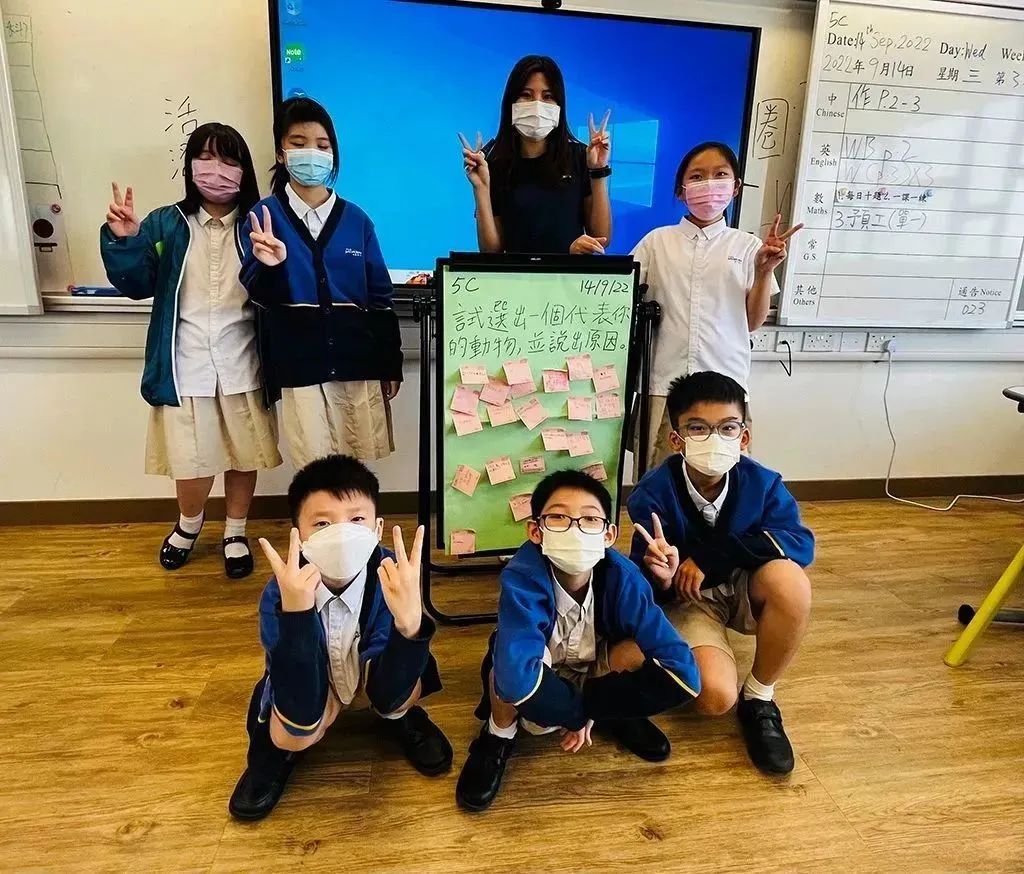 1687686223357413.jpg 287.jpg