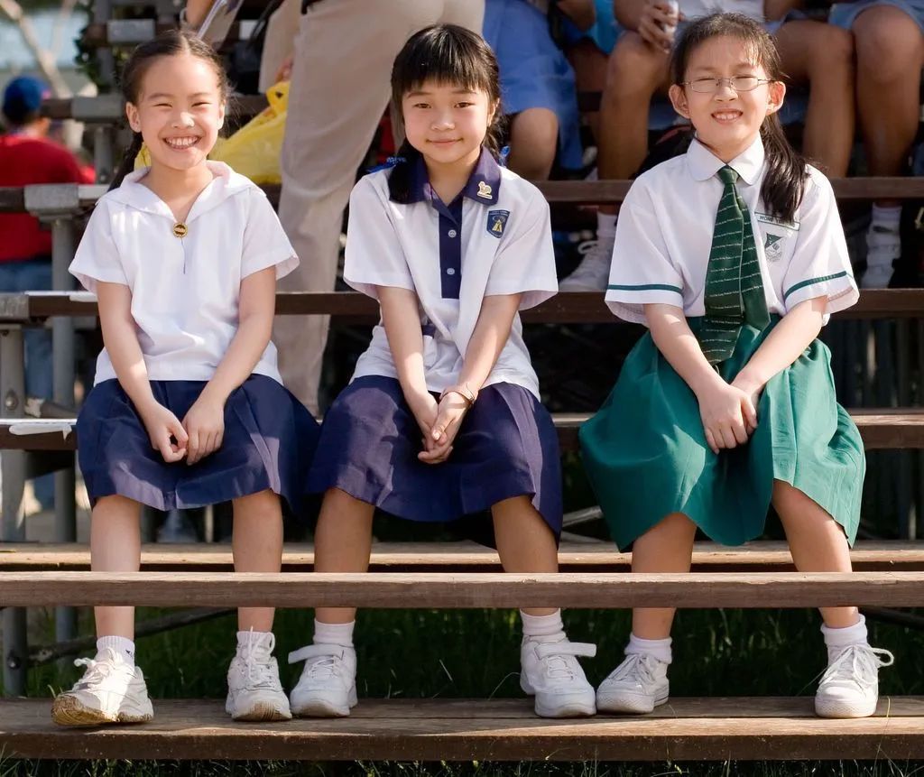 1691468010450112.jpg 381.jpg