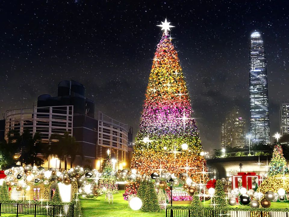 1704255162718565.jpg 679.jpg