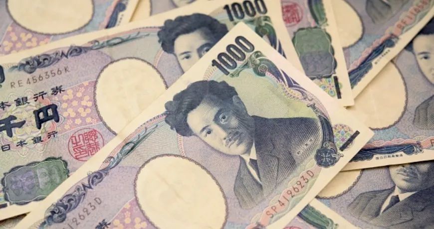 1715064548341986.jpg 972.jpg