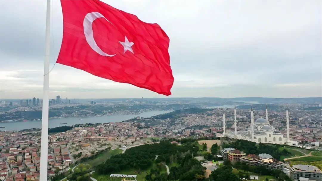 1720160287440756.jpg 1142.jpg