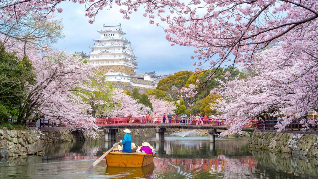 1720160373213557.png 1144.png