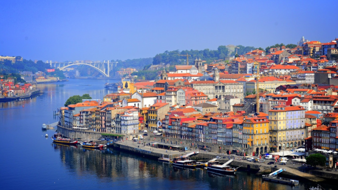 1724752264349549.png 1274.png