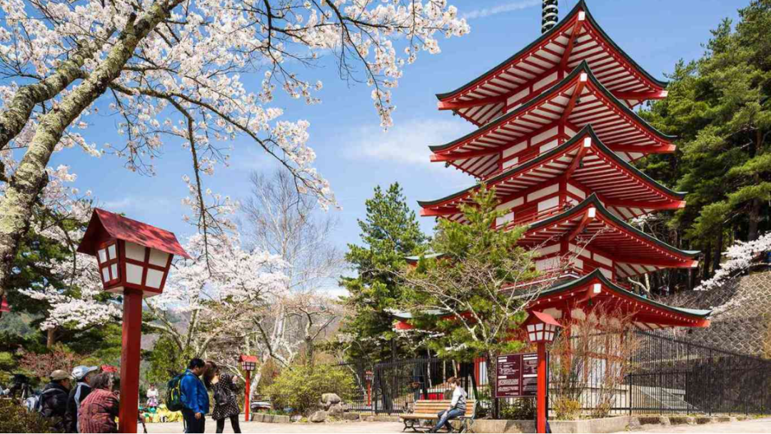 1726306563173608.png 1311.png