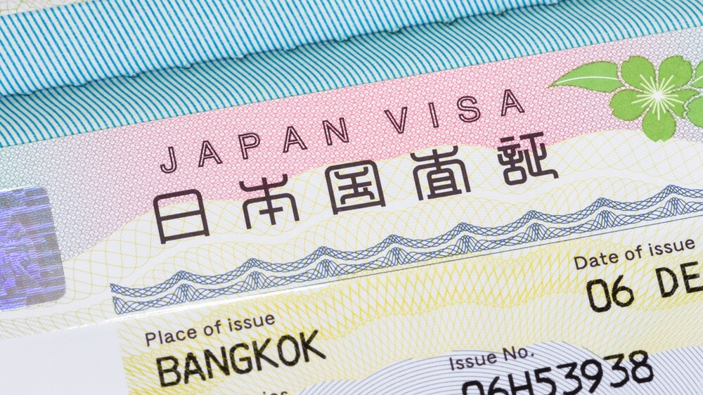 1732179428485713.png 1475.png