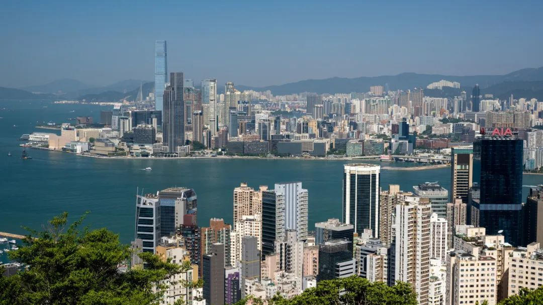 1732866453138474.png 1495.png