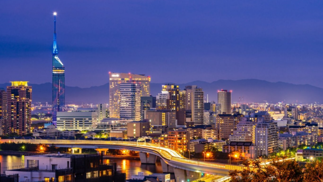 1733473983500498.png 1514.png