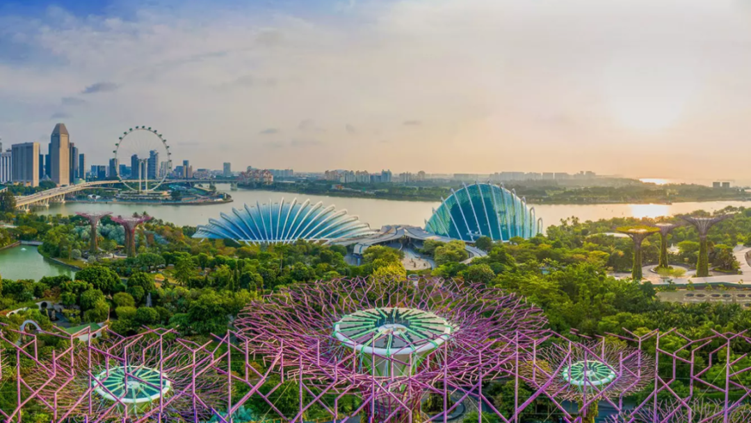 1746783964295201.png 2020.png